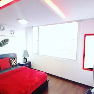 Executive Quito